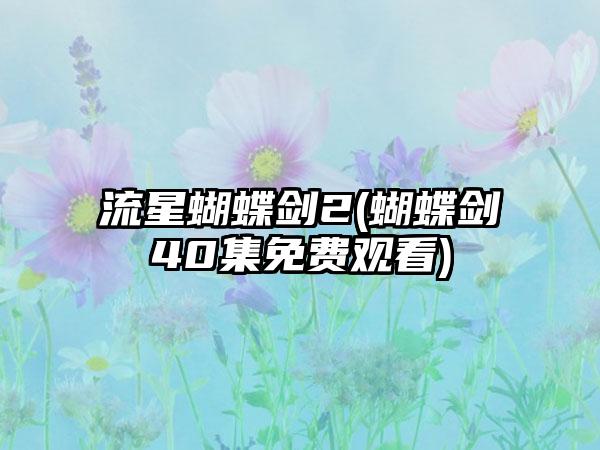 流星蝴蝶剑2(蝴蝶剑40集免费观看)