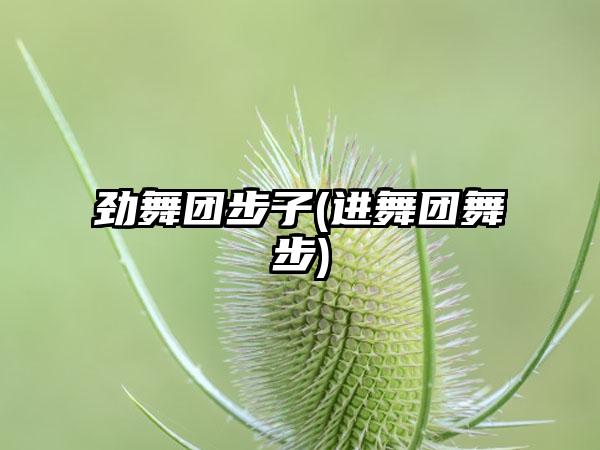 劲舞团步子(进舞团舞步)