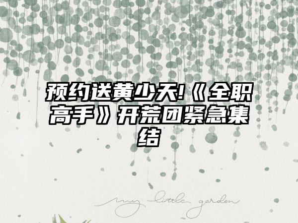 预约送黄少天!《全职高手》开荒团紧急集结