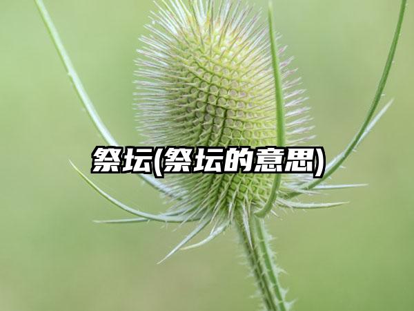 祭坛(祭坛的意思)