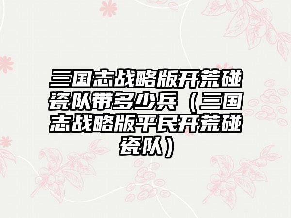 三国志战略版开荒碰瓷队带多少兵（三国志战略版平民开荒碰瓷队）