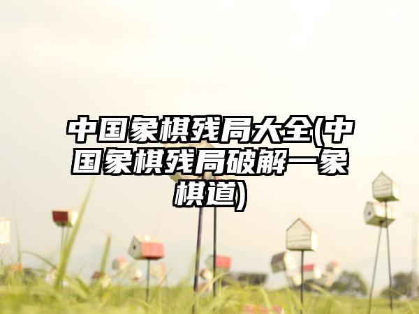 星云影视(星云app)