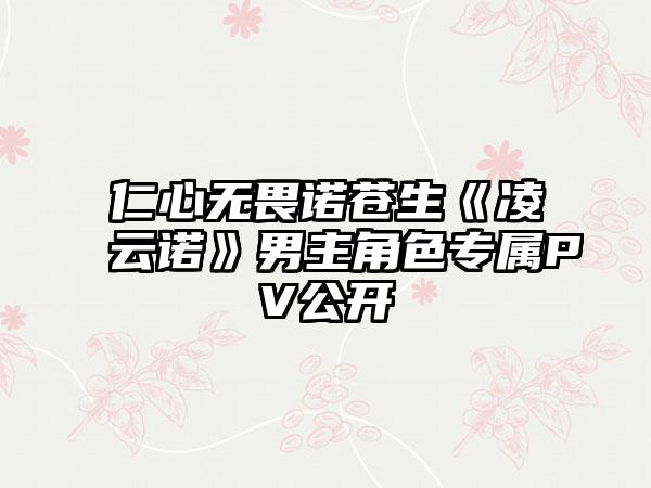 仁心无畏诺苍生《凌云诺》男主角色专属PV公开