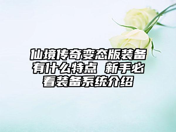 仙境传奇变态版装备有什么特点 新手必看装备系统介绍