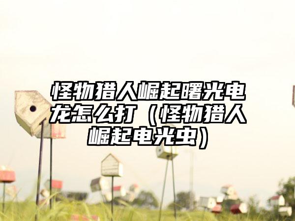 怪物猎人崛起曙光电龙怎么打（怪物猎人崛起电光虫）