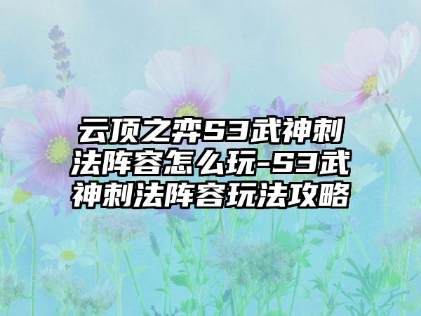 云顶之弈S3武神刺法阵容怎么玩-S3武神刺法阵容玩法攻略