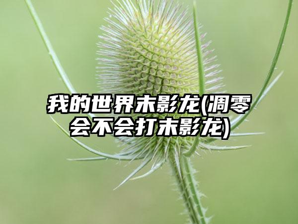我的世界末影龙(凋零会不会打末影龙)