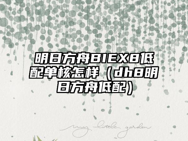 明日方舟BIEX8低配单核怎样（dh8明日方舟低配）