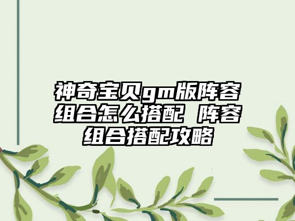 神奇宝贝gm版阵容组合怎么搭配 阵容组合搭配攻略