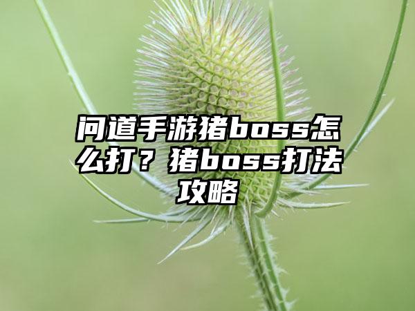 问道手游猪boss怎么打？猪boss打法攻略