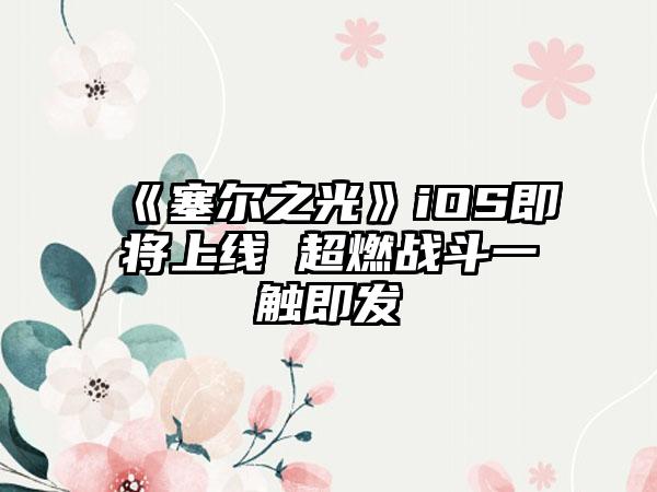 《塞尔之光》iOS即将上线 超燃战斗一触即发