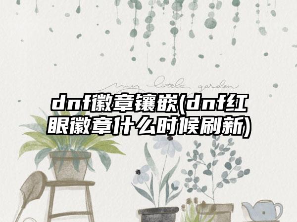 dnf徽章镶嵌(dnf红眼徽章什么时候刷新)