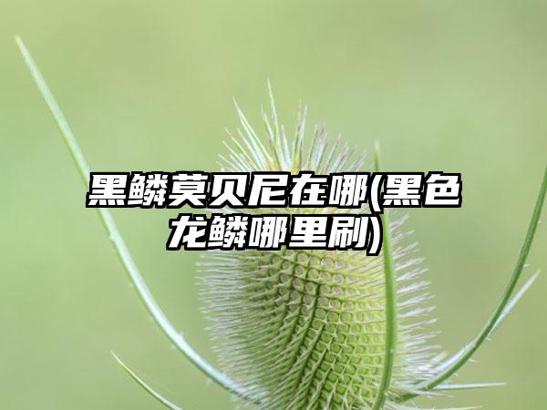 黑鳞莫贝尼在哪(黑色龙鳞哪里刷)