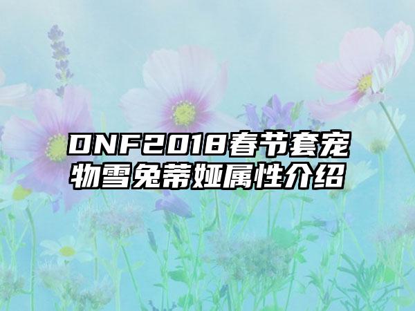 DNF2018春节套宠物雪兔蒂娅属性介绍