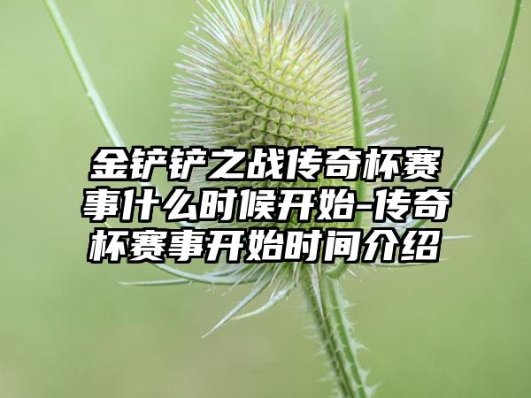 金铲铲之战传奇杯赛事什么时候开始-传奇杯赛事开始时间介绍