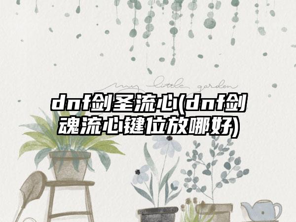 dnf剑圣流心(dnf剑魂流心键位放哪好)