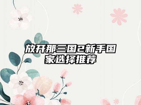 放开那三国2新手国家选择推荐