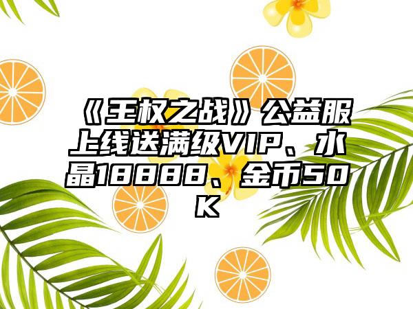 《王权之战》公益服上线送满级VIP、水晶18888、金币50K