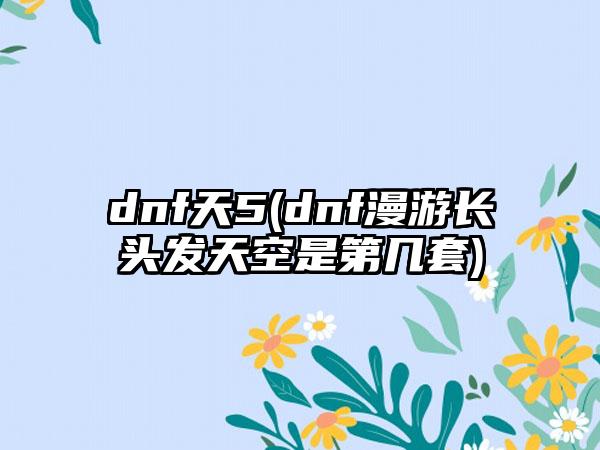 dnf天5(dnf漫游长头发天空是第几套)