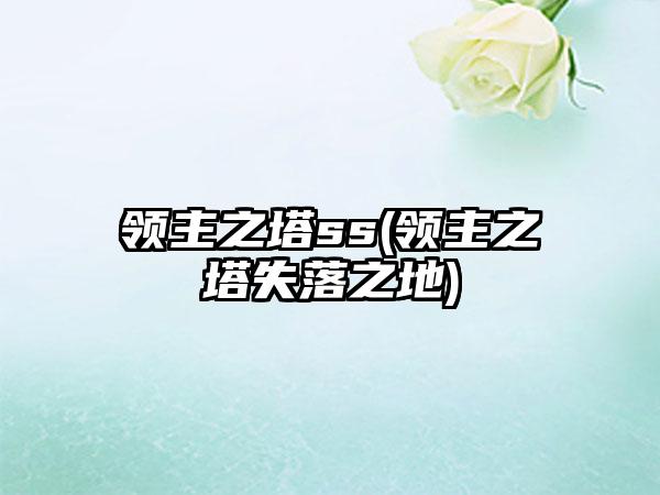 领主之塔ss(领主之塔失落之地)