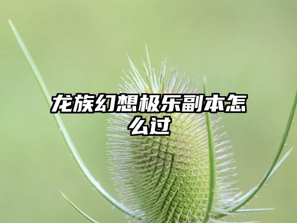 龙族幻想极乐副本怎么过