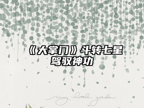 《大掌门》斗转七星驾驭神功