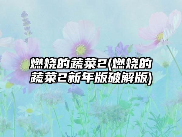 燃烧的蔬菜2(燃烧的蔬菜2新年版破解版)
