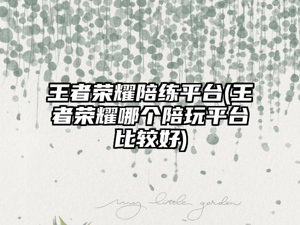 王者荣耀陪练平台(王者荣耀哪个陪玩平台比较好)