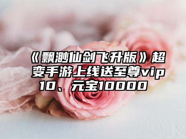 《飘渺仙剑飞升版》超变手游上线送至尊vip10、元宝10000