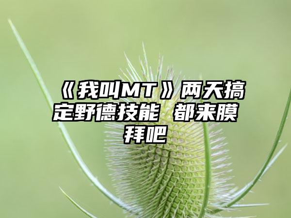 《我叫MT》两天搞定野德技能 都来膜拜吧