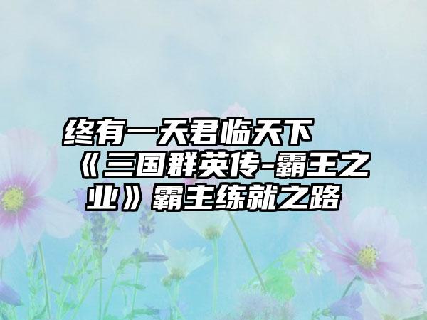 终有一天君临天下 《三国群英传-霸王之业》霸主练就之路