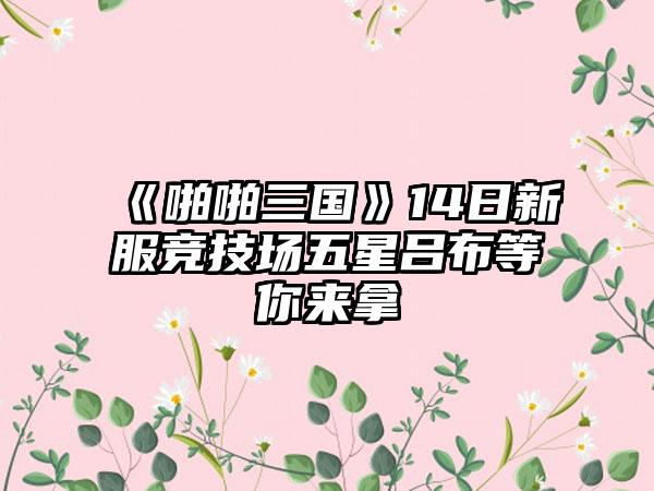 《啪啪三国》14日新服竞技场五星吕布等你来拿