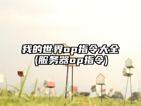 我的世界op指令大全(服务器op指令)