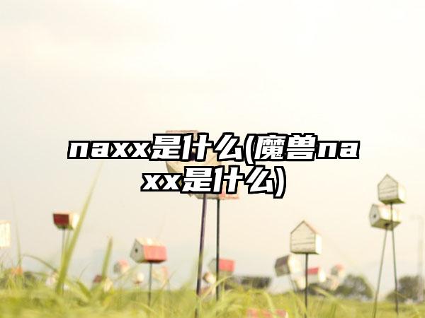 naxx是什么(魔兽naxx是什么)