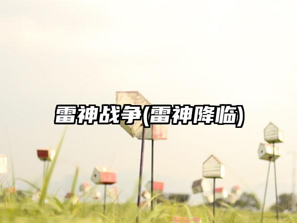 雷神战争(雷神降临)