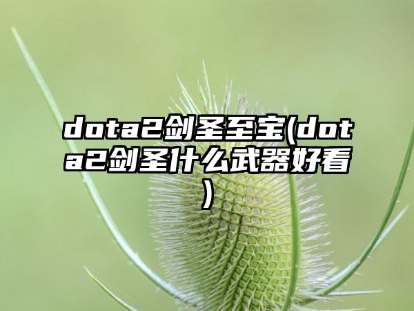 dota2剑圣至宝(dota2剑圣什么武器好看)