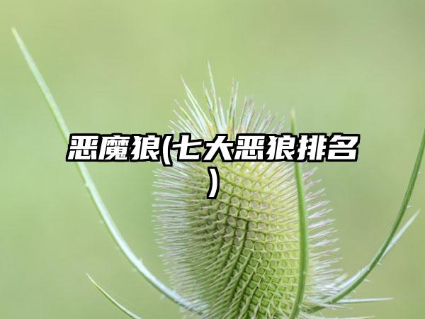 恶魔狼(七大恶狼排名)