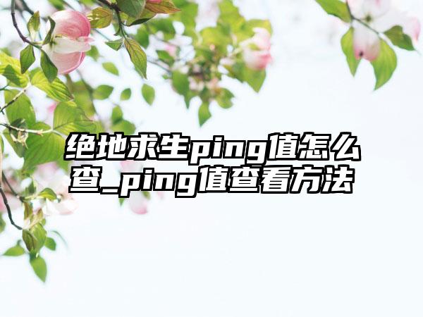 绝地求生ping值怎么查_ping值查看方法