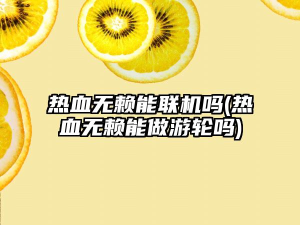 热血无赖能联机吗(热血无赖能做游轮吗)