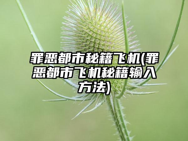 罪恶都市秘籍飞机(罪恶都市飞机秘籍输入方法)