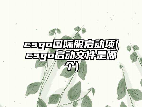 csgo国际服启动项(csgo启动文件是哪个)
