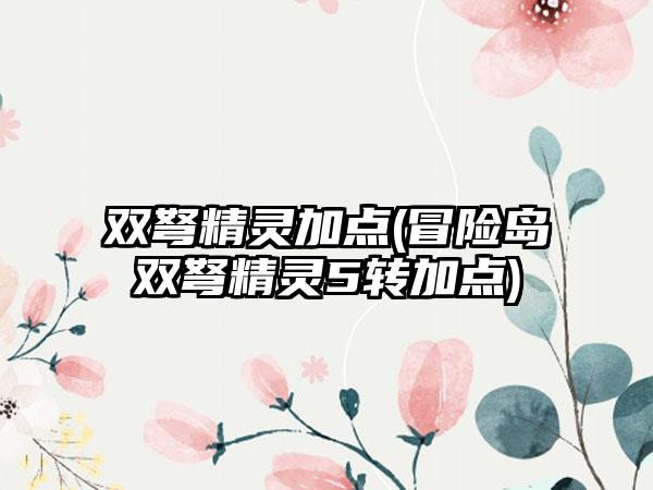 双弩精灵加点(冒险岛双弩精灵5转加点)
