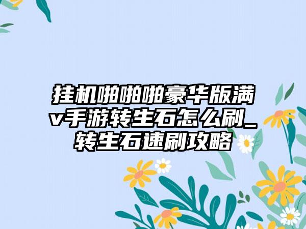 挂机啪啪啪豪华版满v手游转生石怎么刷_转生石速刷攻略