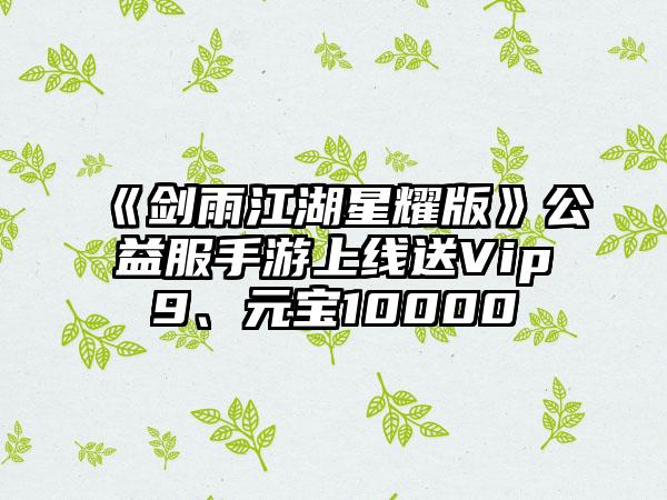 《剑雨江湖星耀版》公益服手游上线送Vip9、元宝10000
