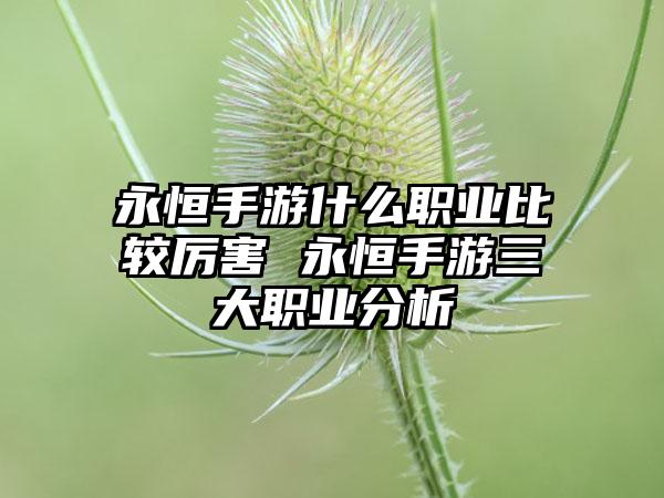 永恒手游什么职业比较厉害 永恒手游三大职业分析