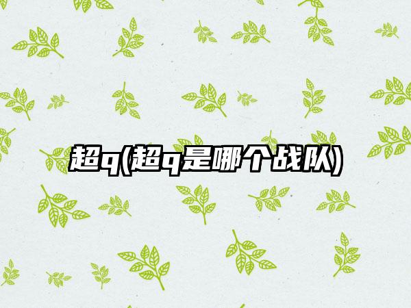 超q(超q是哪个战队)