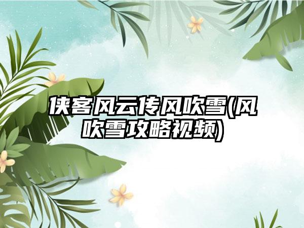 侠客风云传风吹雪(风吹雪攻略视频)