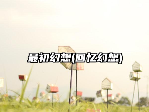 最初幻想(回忆幻想)