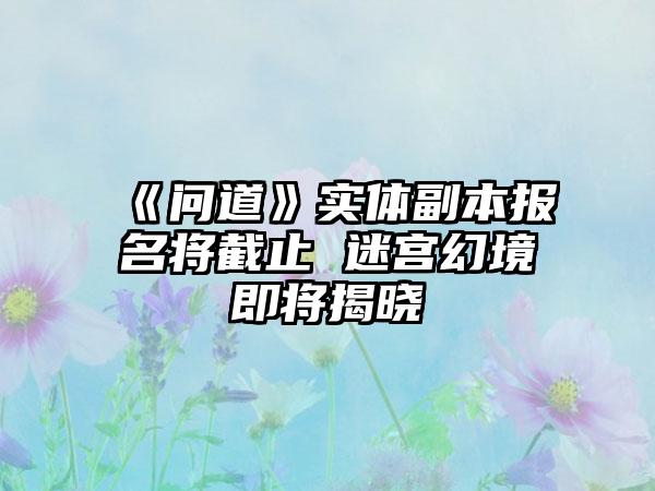《问道》实体副本报名将截止 迷宫幻境即将揭晓