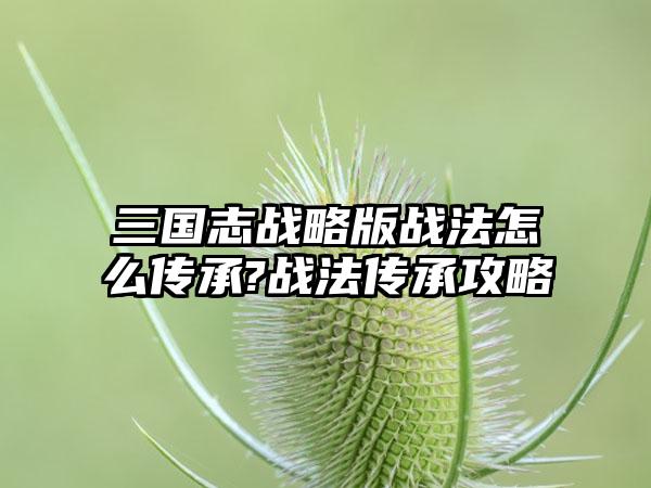 三国志战略版战法怎么传承?战法传承攻略